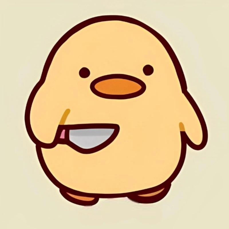 hinh nen con vit meme 7