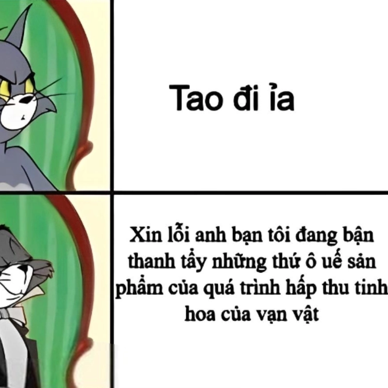 meme ảnh chế 21