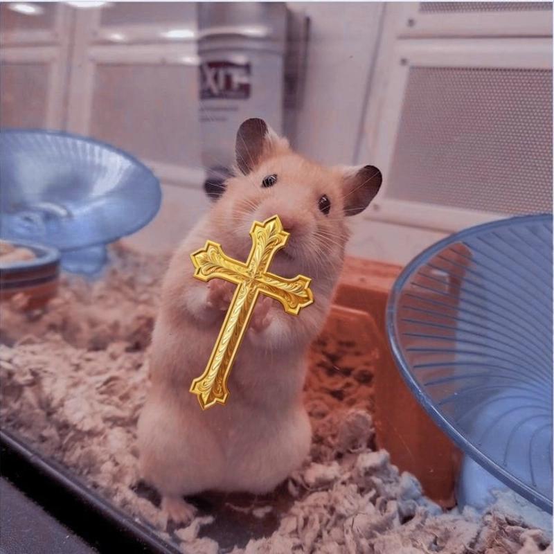 meme chuột 13