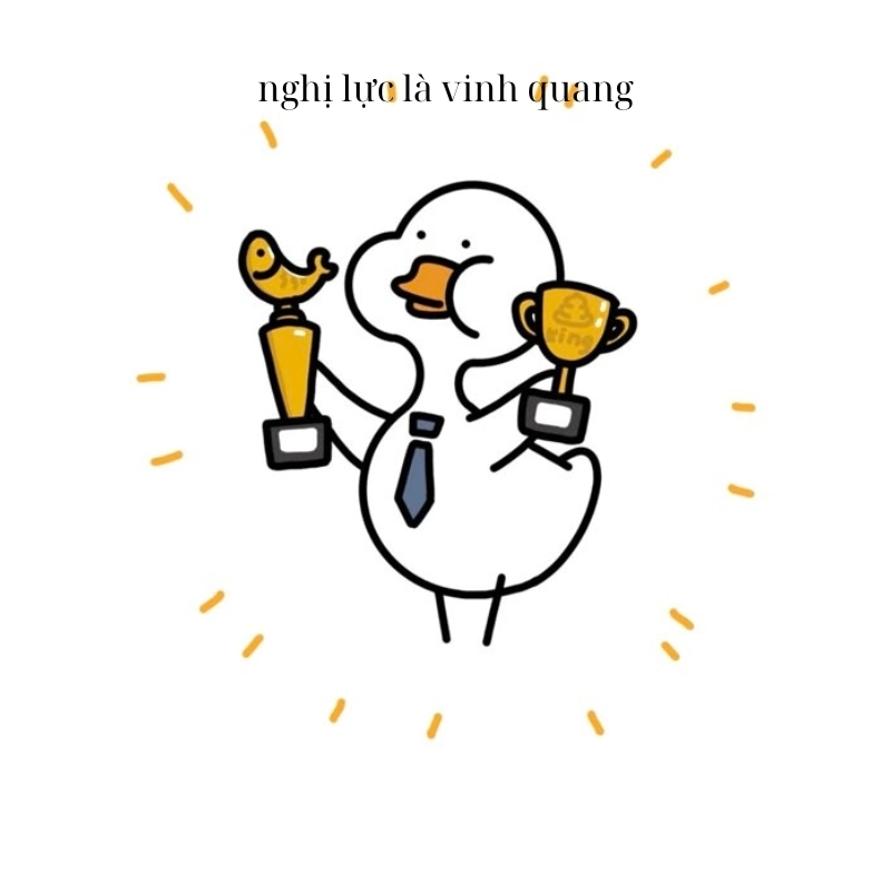 meme cố lên 12