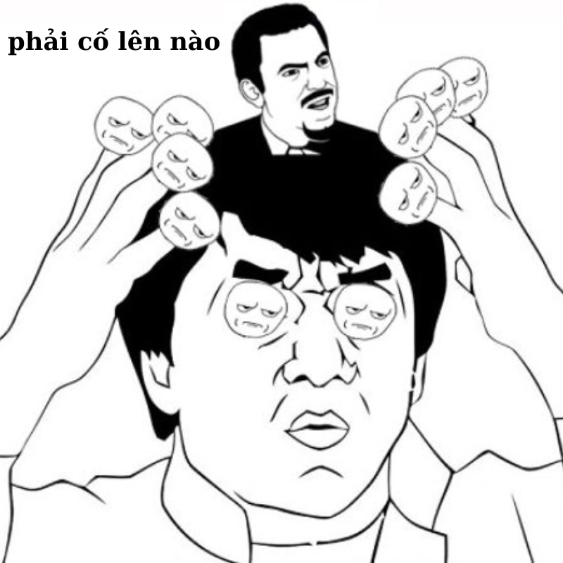 meme cố lên 13