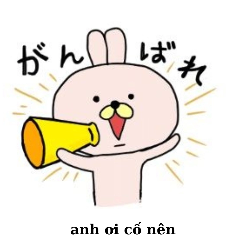 meme cố lên 19