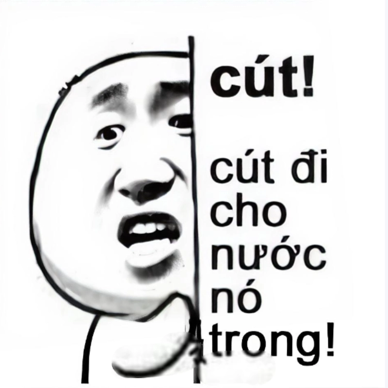 meme đánh nhau 11