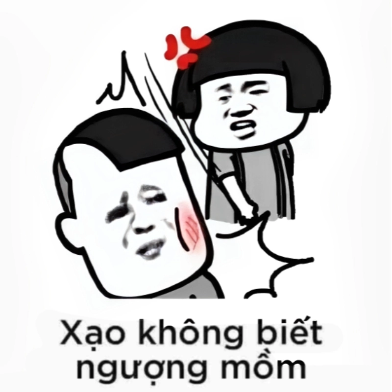 meme đánh nhau 17