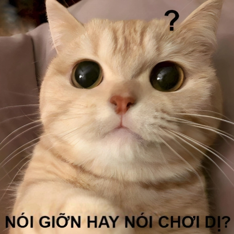 meme khó hiểu 22