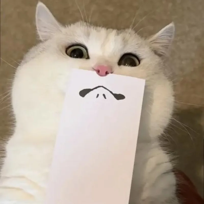 ảnh chế meme mèo bựa 2