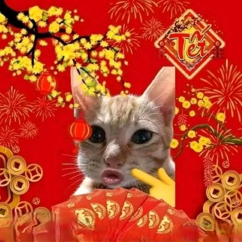 meme mèo Tết 39