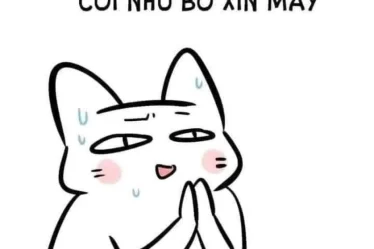 meme quy lay 20