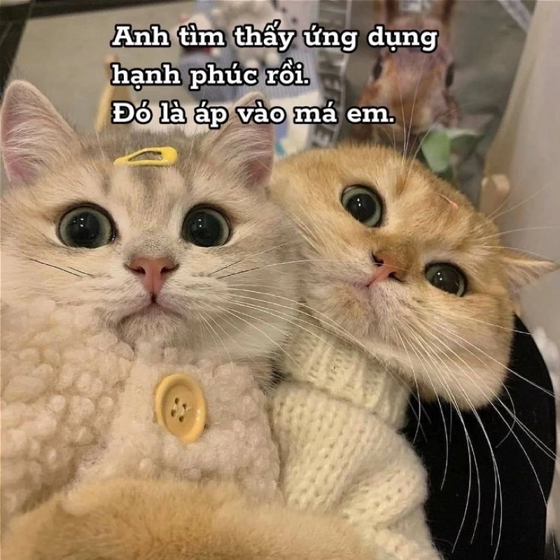 meme tình yêu 2