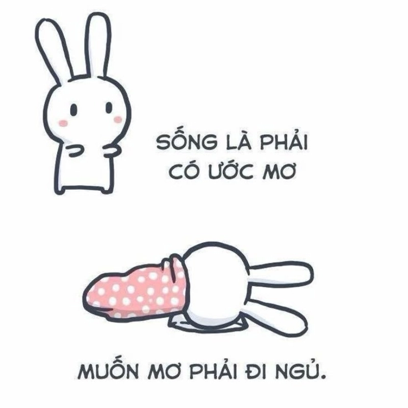 meme ngủ 5