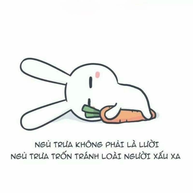 meme ngủ 6